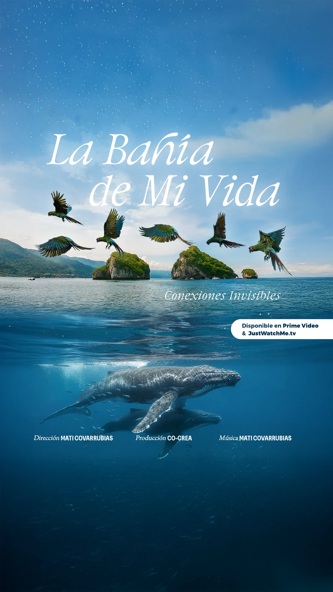 Historia LA BAHIA DE MI VIDA copia